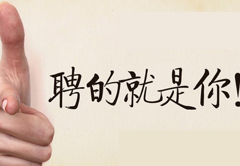 为什么开云足球登录应该雇佣那些循规蹈矩的人?